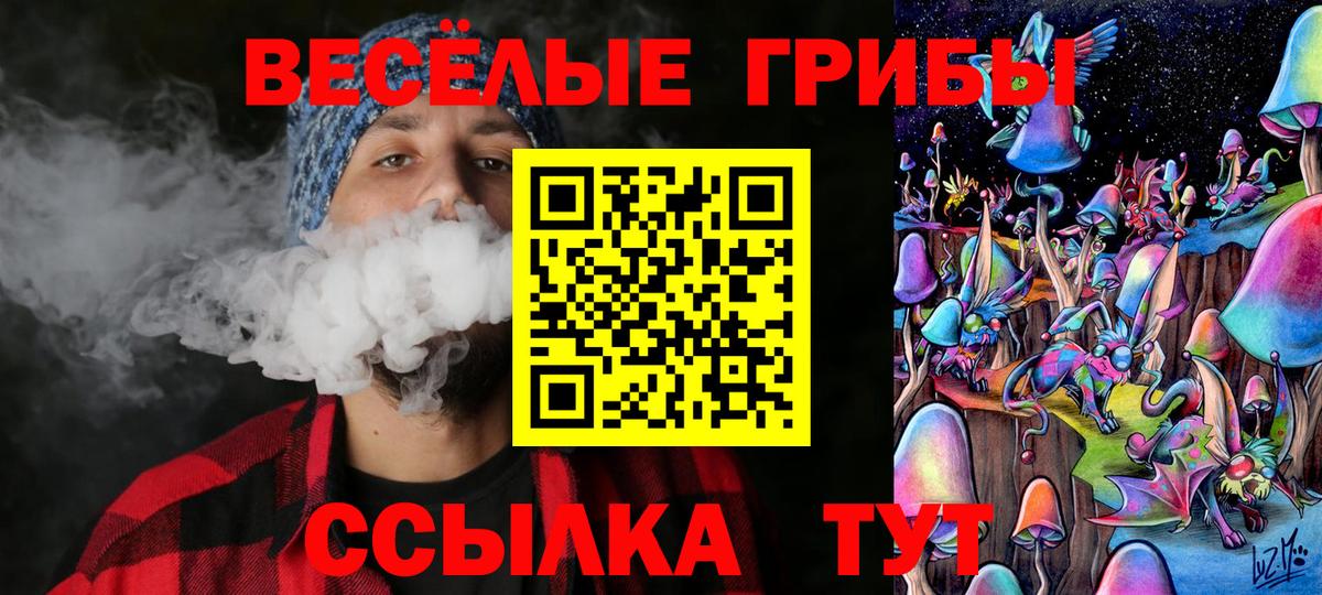 Заинск  Галлюциногенные грибы мицелий  Вход с VPN 